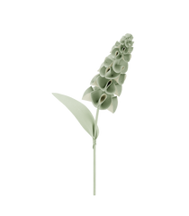 Orki Flower - Duo Fresh Almond