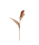 Pili Flower - Duo Beige