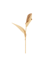 Pili Flower - Textured Duo Wheat