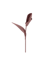 Pili Flower - Duo Lilac