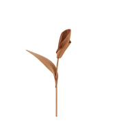 Pili Flower - Textured Duo Tan