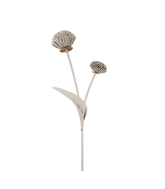 Tul Flower - Duo Chalk