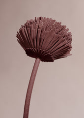 Tul Flower - Duo Lilac