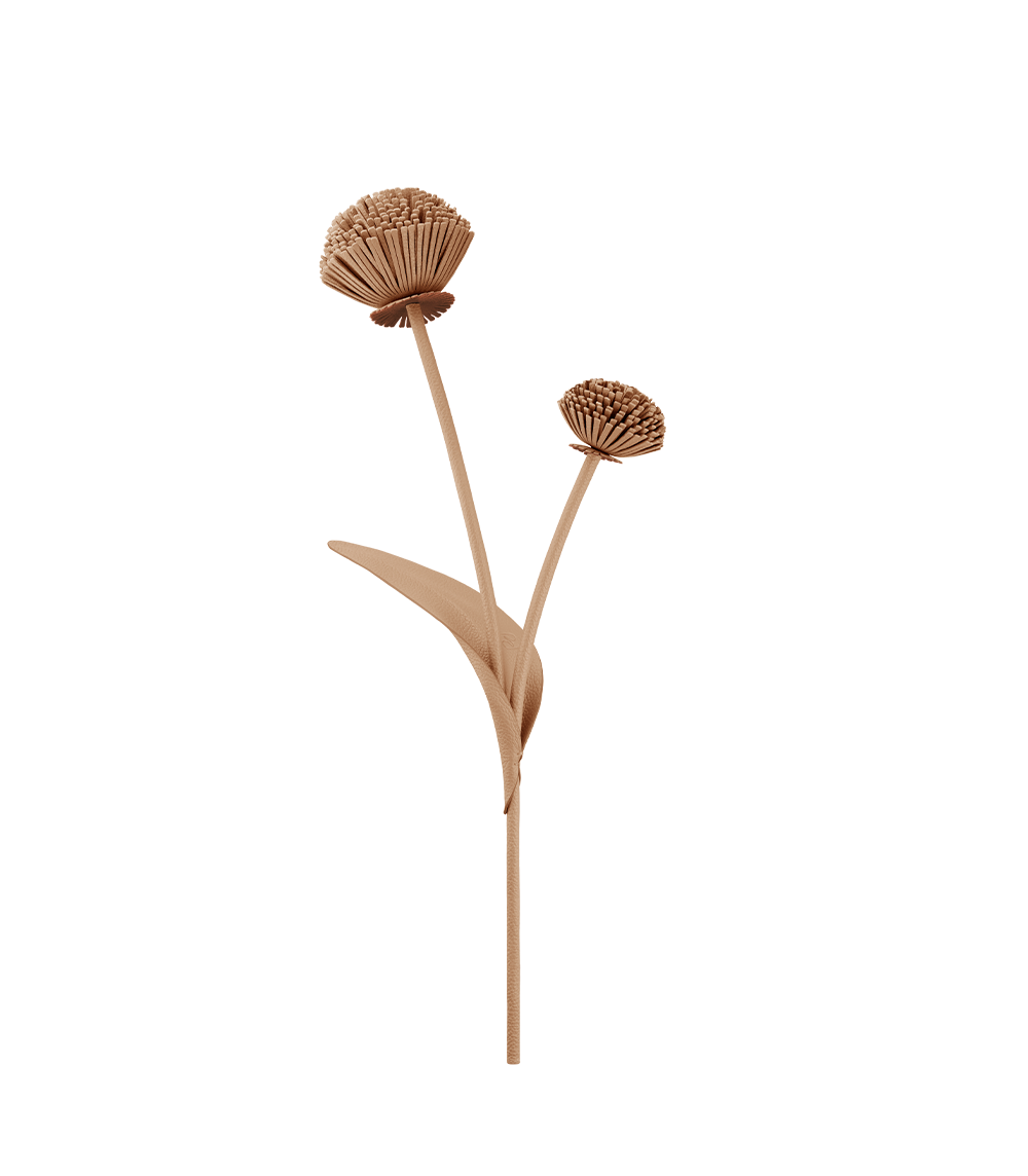 Tul Flower - Duo Beige